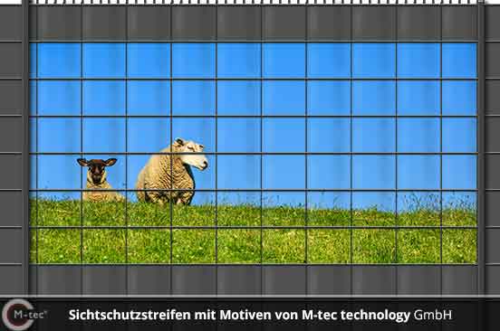 M-tec Fotomotiv Sichtschutz Schafe