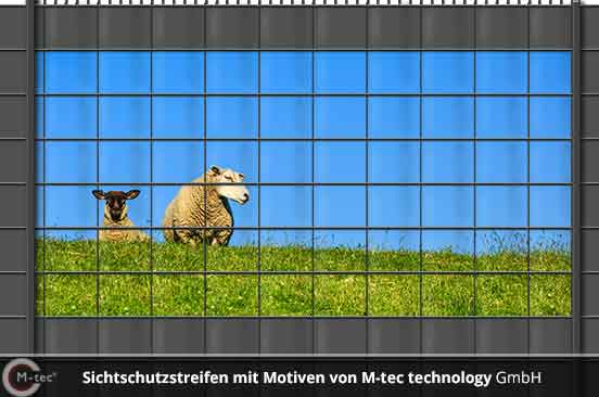 M-tec Fotomotiv Sichtschutz Schafe M-tec Fotomotiv Sichtschutz Schafe