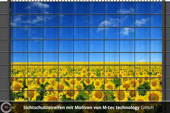 Fotomotiv Sichtschutzstreifen Sonnenblumen