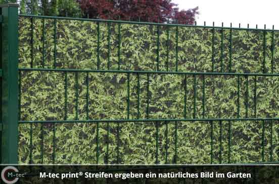 Zaunanlage PVC Sichtschutz Thuja Zaunanlage PVC Sichtschutz Thuja