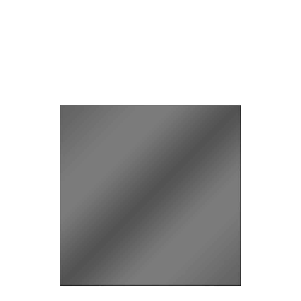 Glasscheibe Glaswand System Vetro anthrazit 120 x 120 cm
