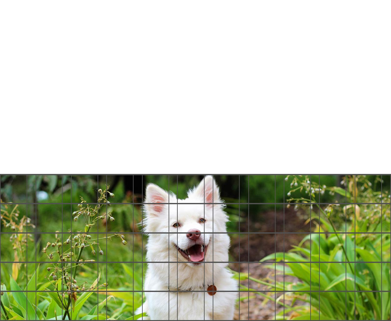 Hundewelpe - Bedruckter Zaun-Sichtschutz