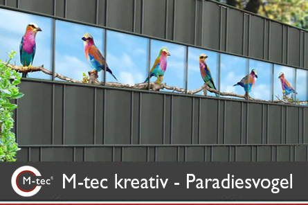 M-tec Kreativstreifen Paradiesvogel