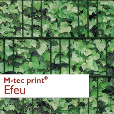 M-tec print® Brilliantdruck Efeu 3er Pack
