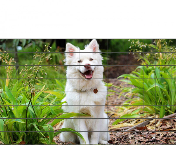 Hundewelpe - Bedruckter Zaun-Sichtschutz