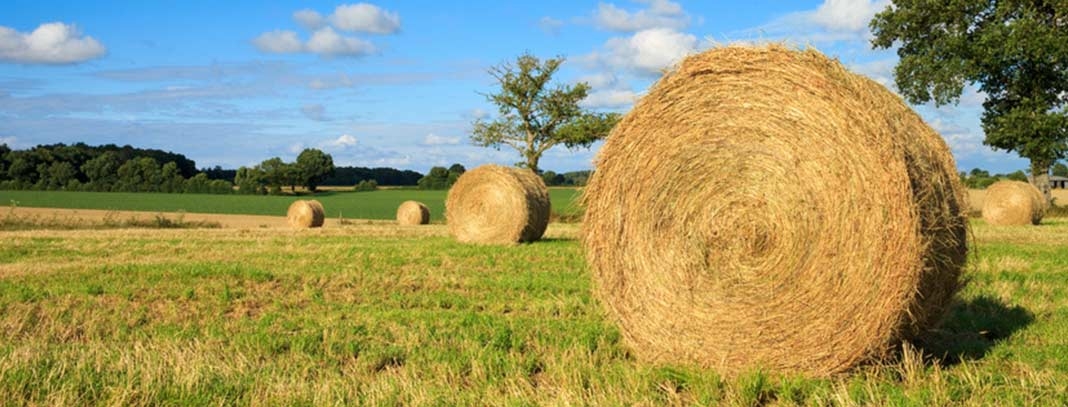 Strohballen,5