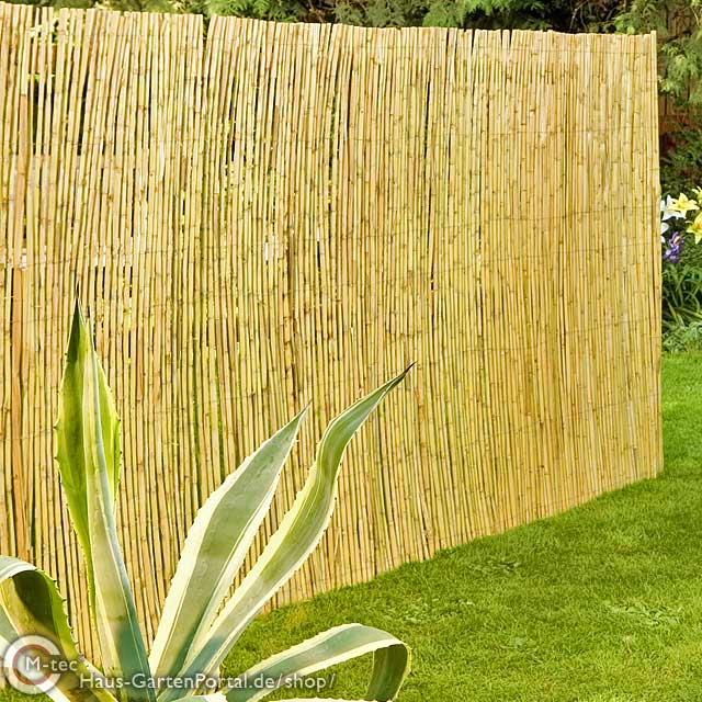 Bambusmatte Tunis- 1,00 x   5,00 m