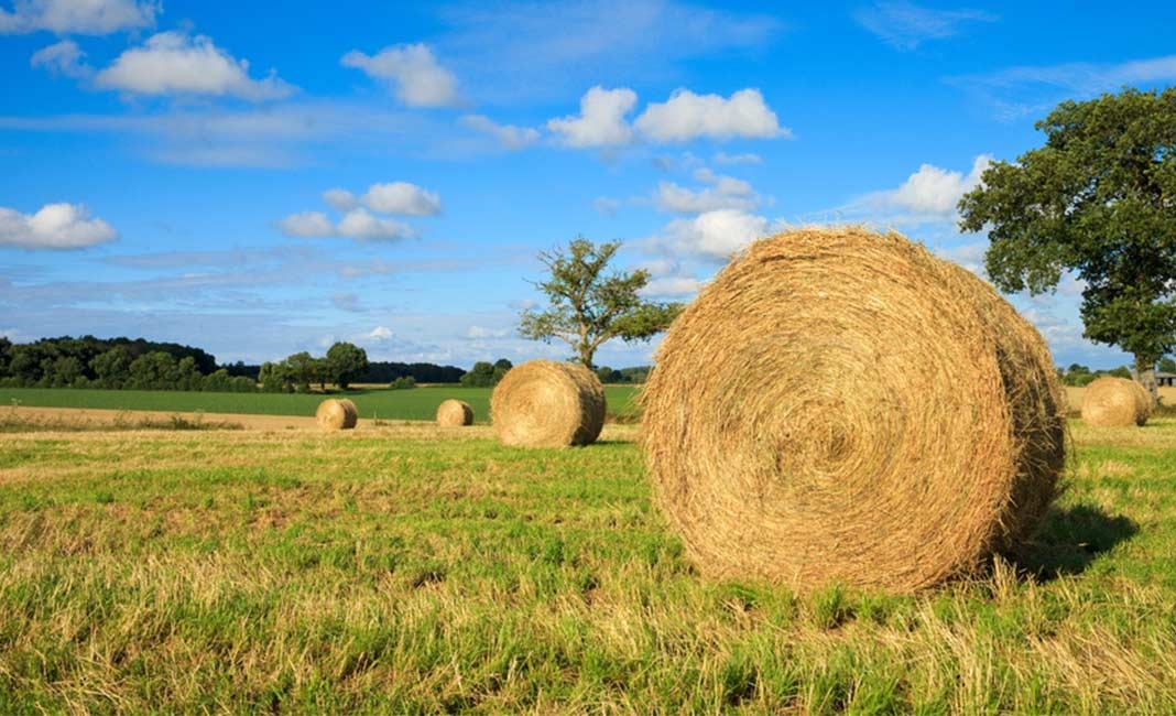 Strohballen,8