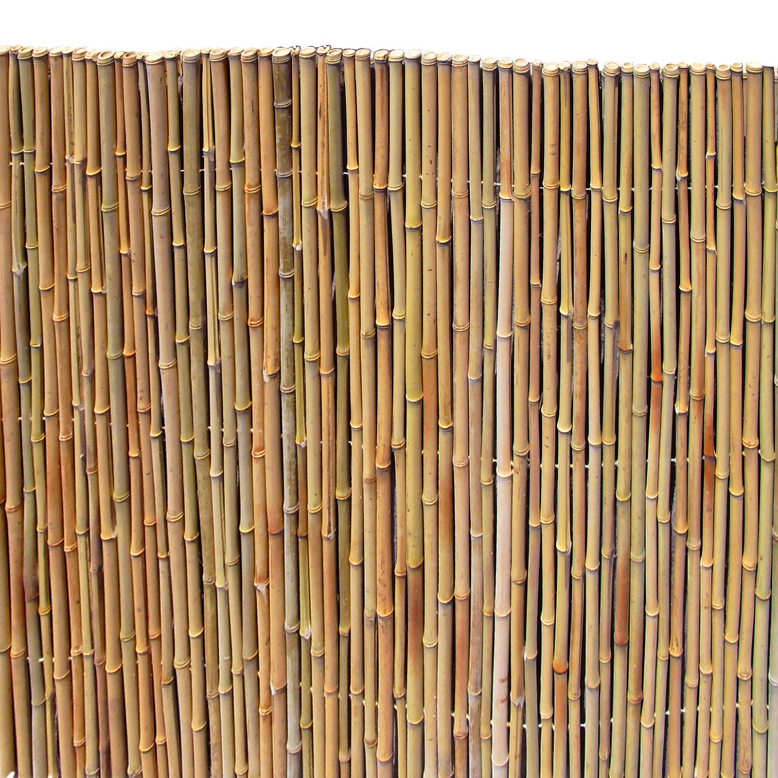 Bambusmatte Bahrain-  1,83m x 2,43m Ø 18-20mm