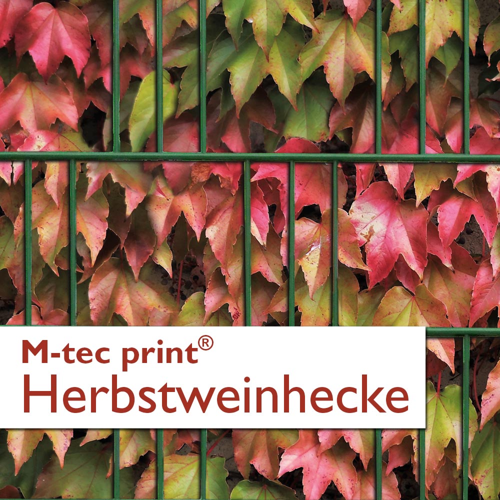 M-tec print® Weich PVC - Herbstweinhecke