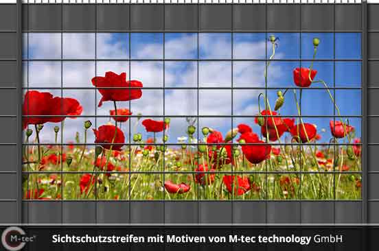 Foto Motiv Sichtschutzstreifen Mohnblumen