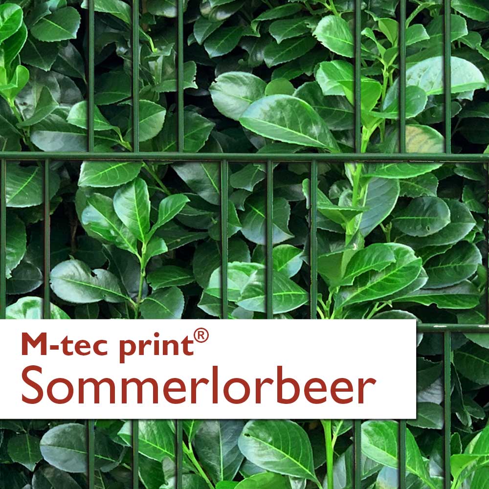 "M-tec print®" Weich-PVC - Sommerlorbeer