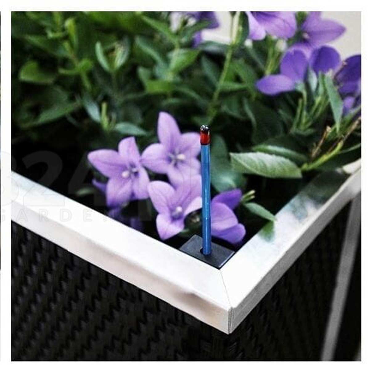 Rattan Bewaesserungs Pflanzkübel  für Kräuter u Blumen  XXL 95x40 cm 
