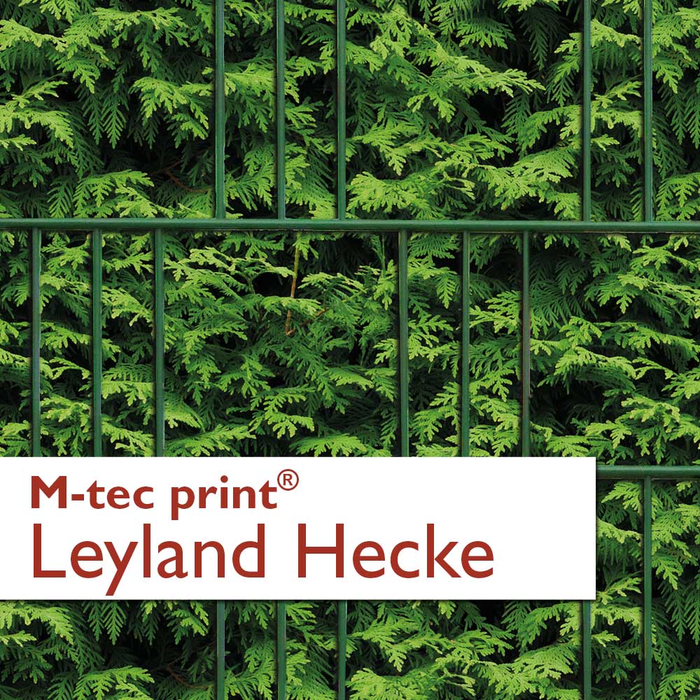 "M-tec print®" Zaunstreifen Leyland Hecke