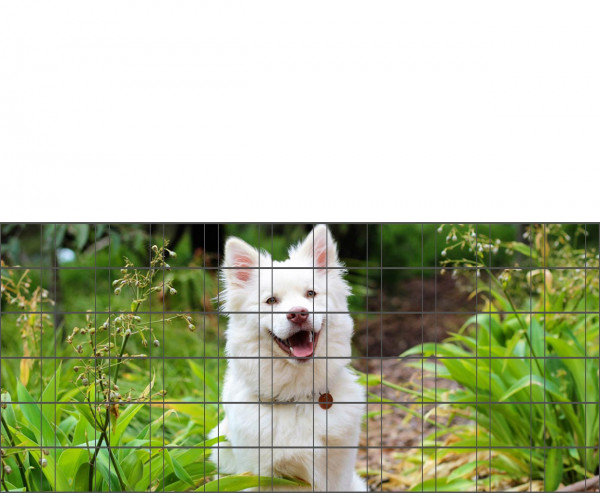 Hundewelpe - Bedruckter Zaun-Sichtschutz