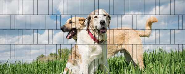 Hunde - Bedruckter Zaun-Sichtschutz