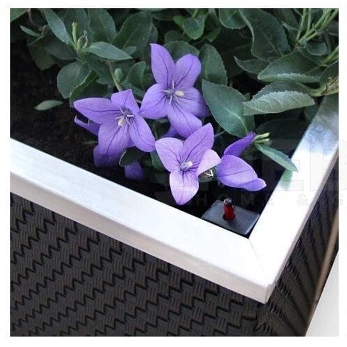 Rattan Bewaesserungs Pflanzkübel  für Kräuter u Blumen  XXL 95x40 cm 