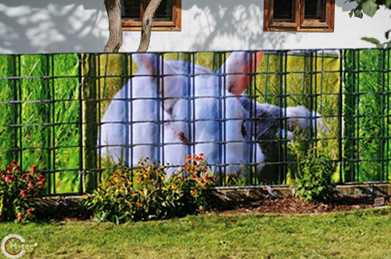 Hasen-Motiv als Sichtschutz im Stabgitterzaun Hasen-Motiv als Sichtschutz im Stabgitterzaun