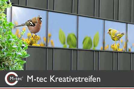 Kreativstreifen Bird Life