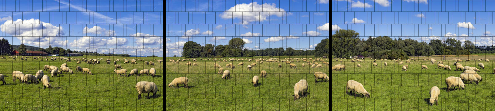 Schafe - XXL Panorama Zaundruck Poster - M-tec Profi-line | Nicht durchscheinend-transparent