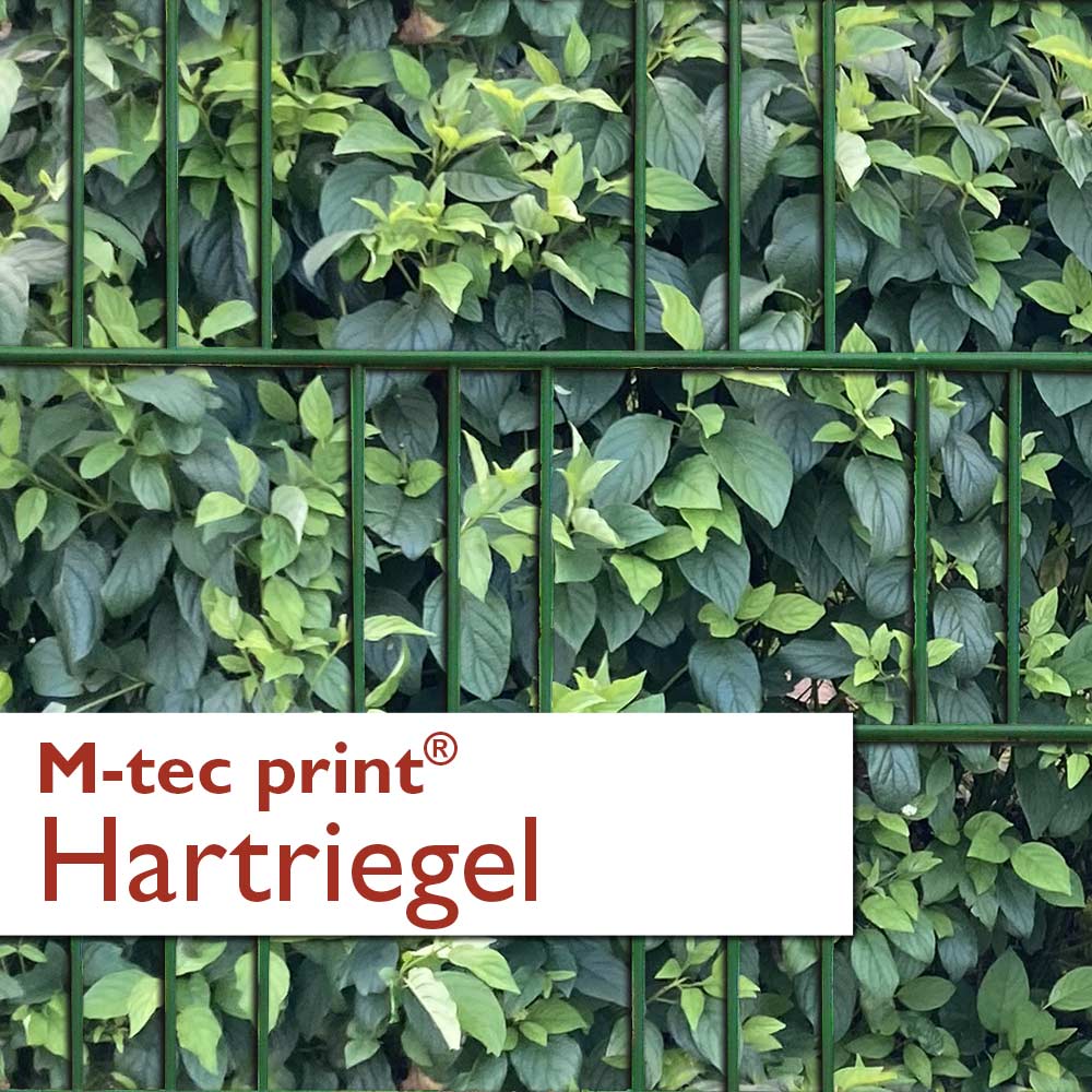 "M-tec print®" Zaunstreifen Hartriegel