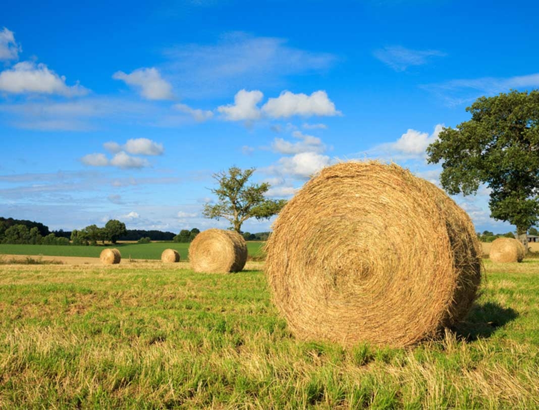 Strohballen,10
