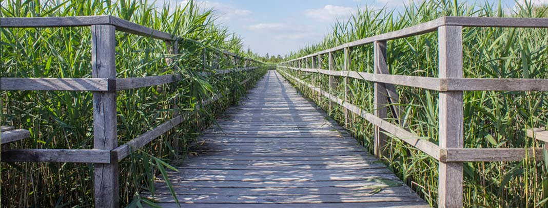 Boardwalk,5