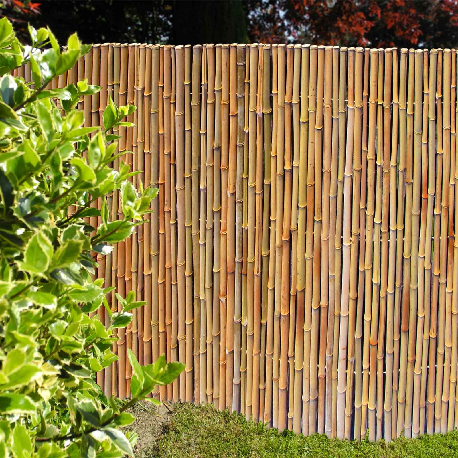 Bambusmatte Bahrain-  1,83m x 2,43m Ø 18-20mm