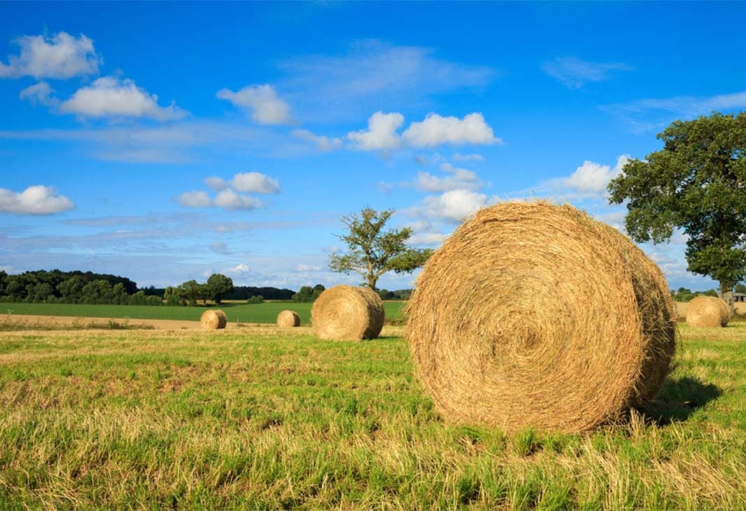 Strohballen,9