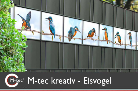 M-tec Kreativstreifen Eisvogel