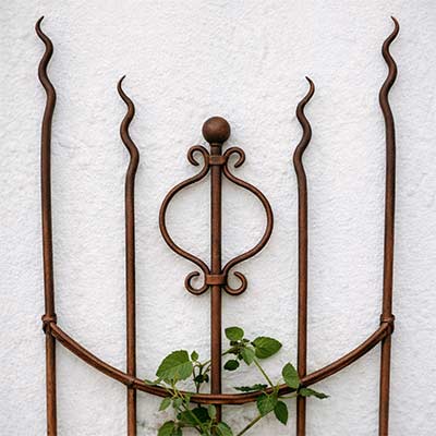 Rosenstab - Rankgerüst Typ 'Prince of Wales'