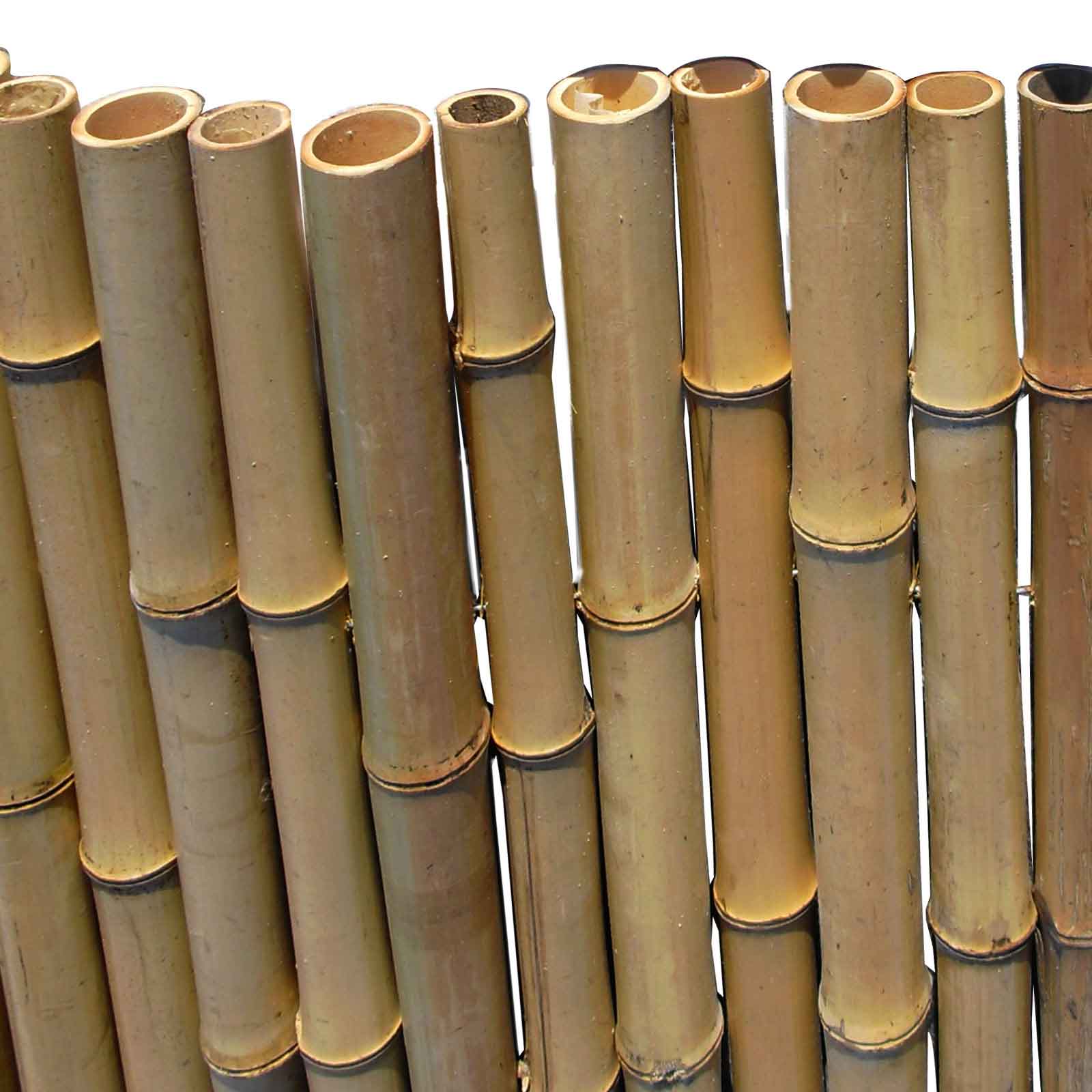 Bambusmatte Bahrain-  1,83m x 2,43m Ø 18-20mm
