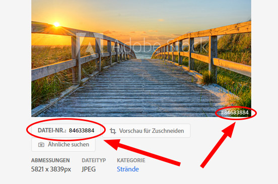 Zaunposter Wunschmotiv Suche Zaunposter Wunschmotiv Suche