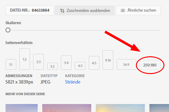 Zaunposter Wunschmotiv Suche Zaunposter Wunschmotiv Suche