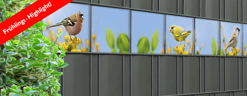 Sichtschutzprodukte aller Art Mtec technology Online Shop