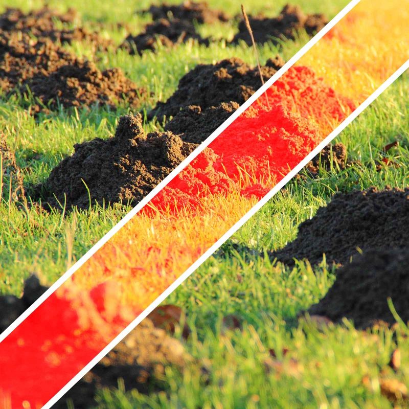 Maulwurfgitter 60m²