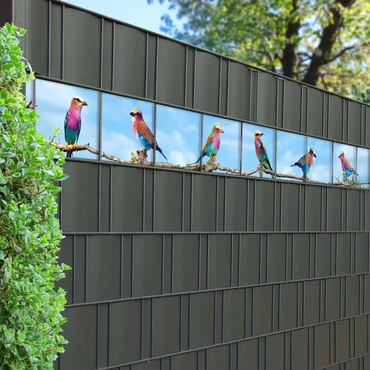 PVC Sichtschutzstreifen - Paradiesvogel