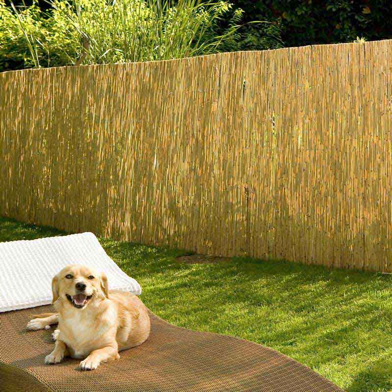 NOOR Schilfrohrmatte Nizza 0,60 x 6,00 m NOOR Schilfrohrmatte Nizza 0,60 x 6,00 m